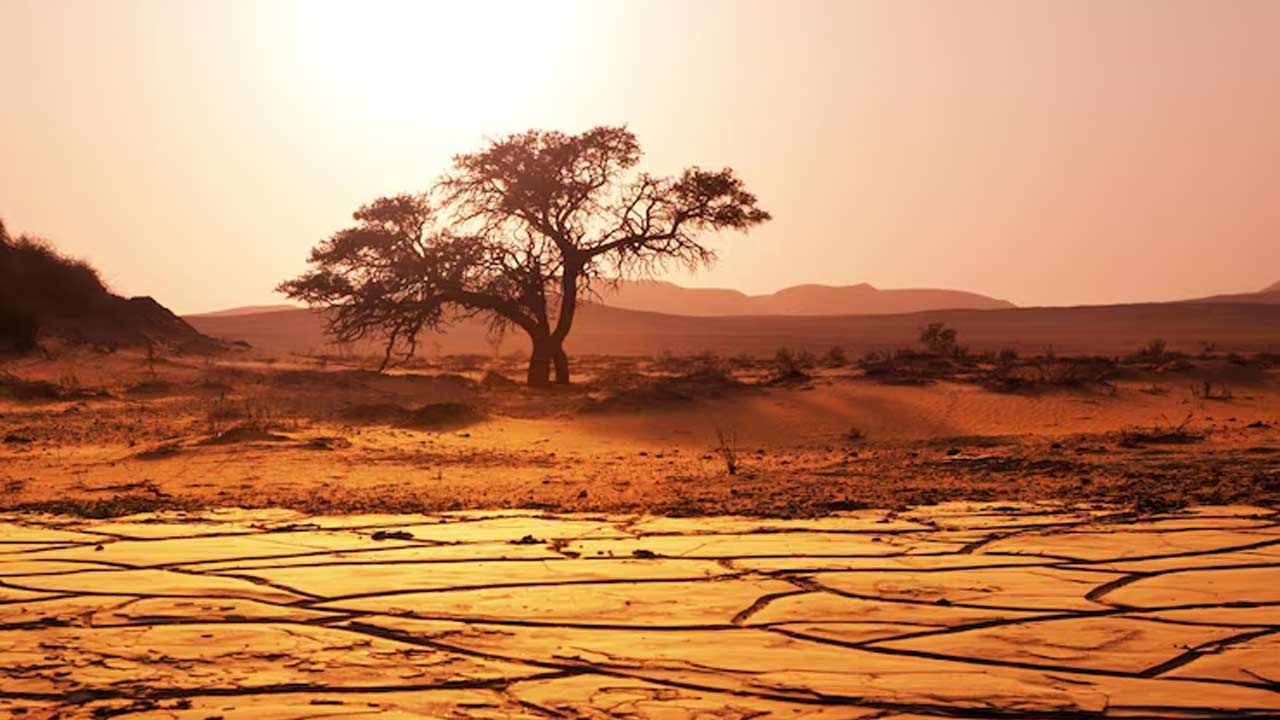 Kurak Turkiye Meteoroloji 2