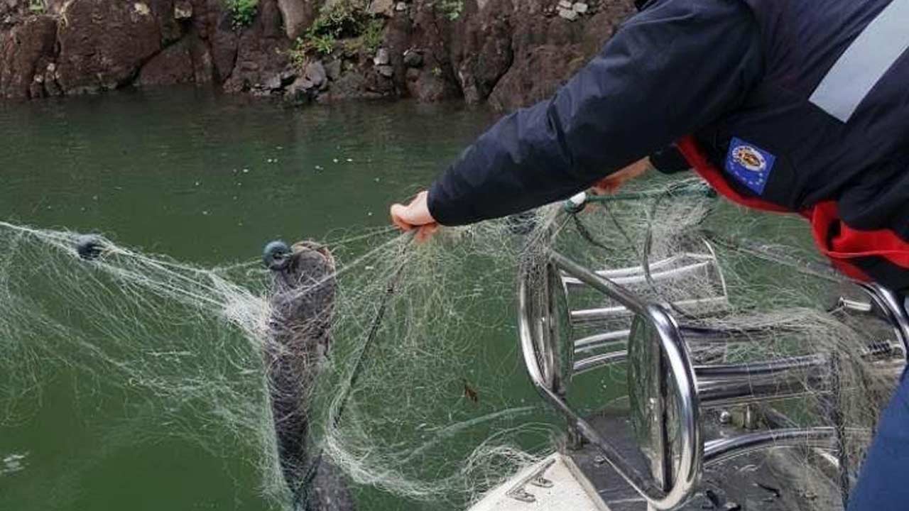 Samsun Sazangil Avi 2