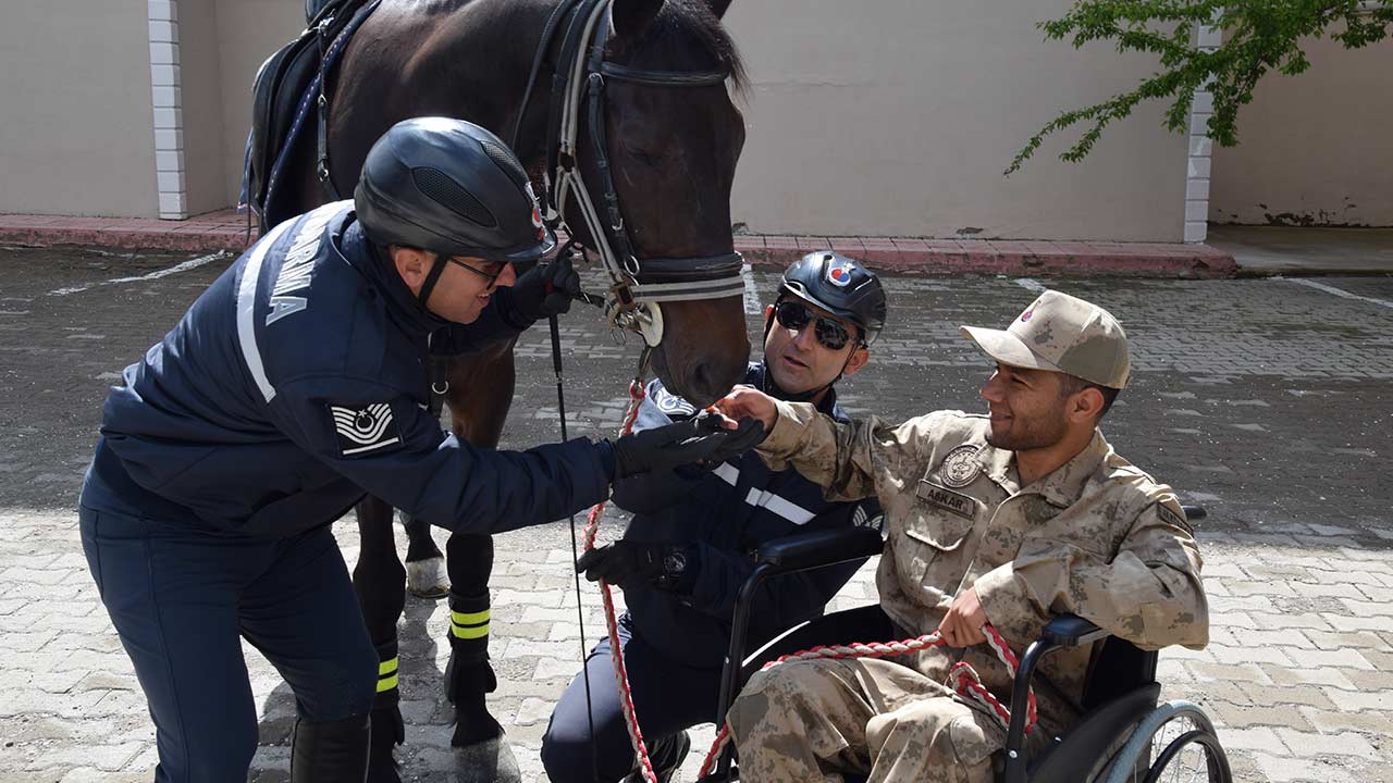 Van Ercis Engelli Asker 2