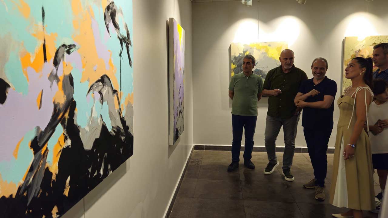 Didem Oge Resim Sergisi 1