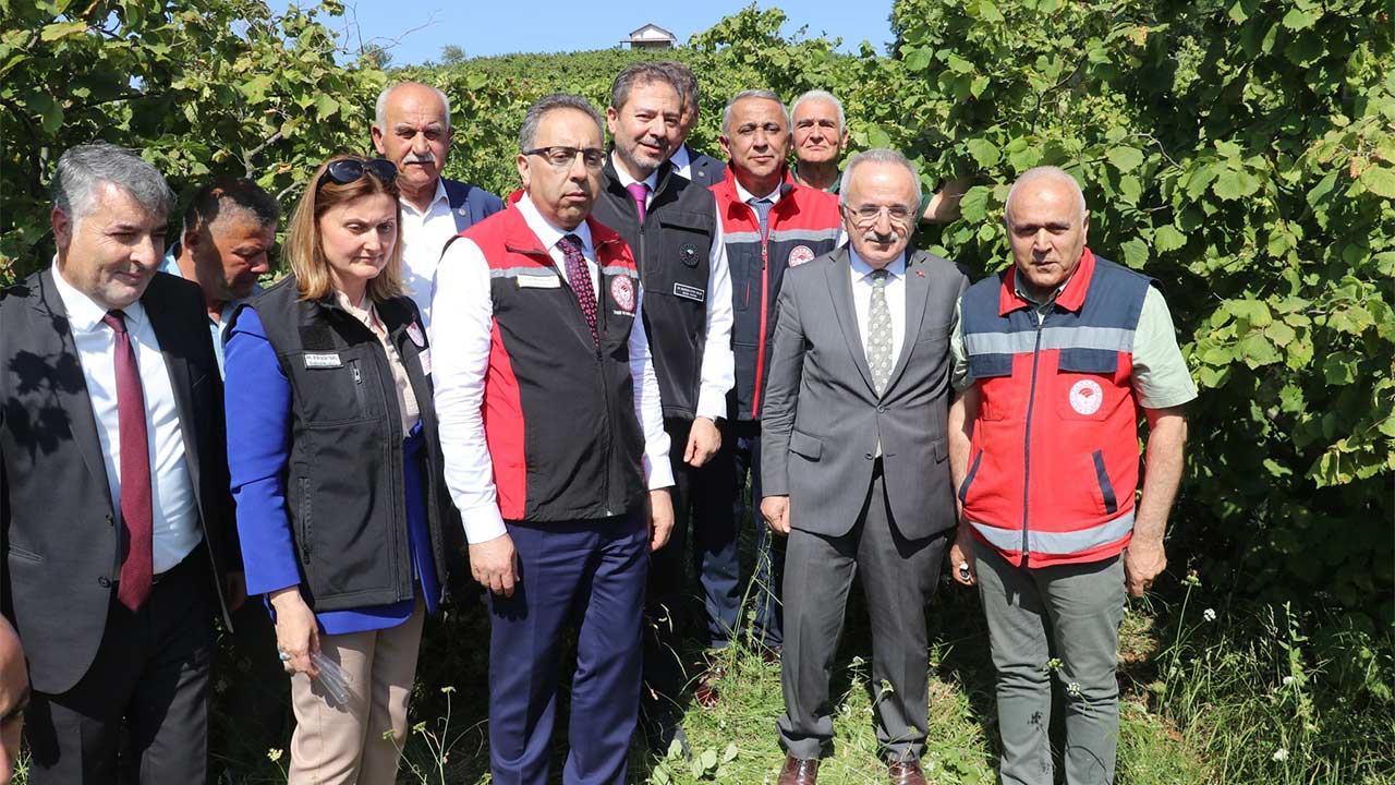 Kahverengi Kokarca Samsun Salindi 3