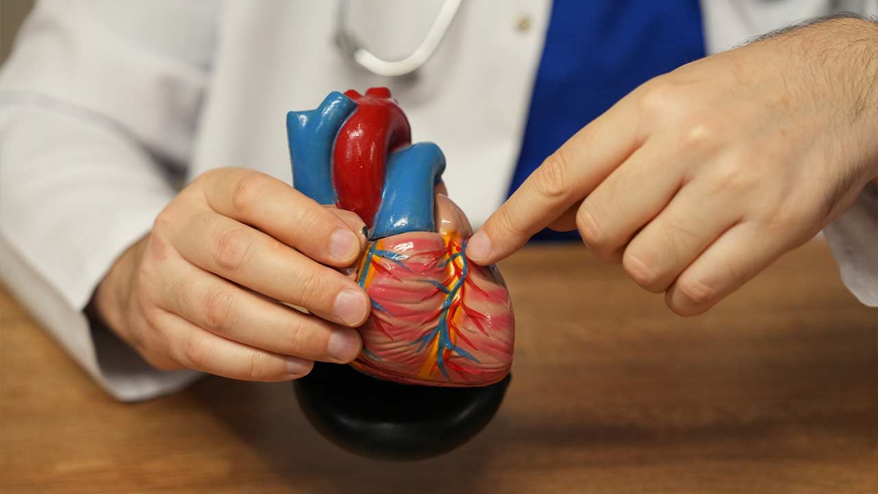 Mikroplastik Zararli 2