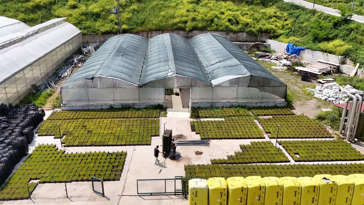 Samsun Cicek Atik Buyuksehir 4