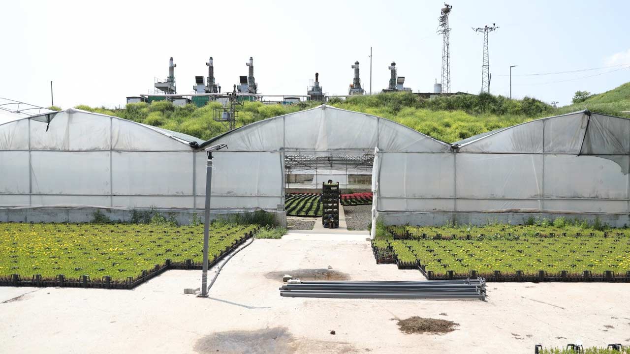 Samsun Cicek Atik Buyuksehir 5