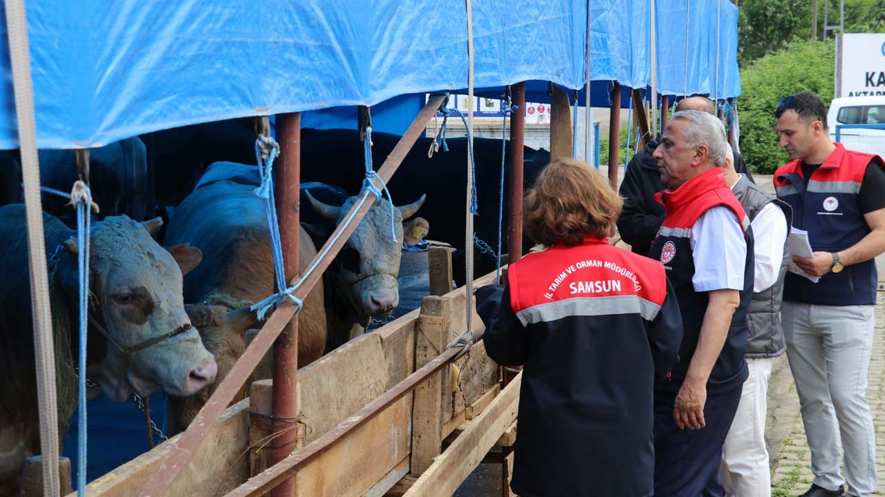 Samsun Tarim Kurban Denitimi 2
