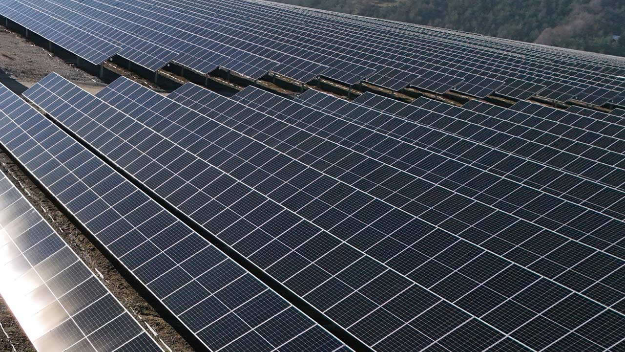 Buyuksehir Doga Dostu 2