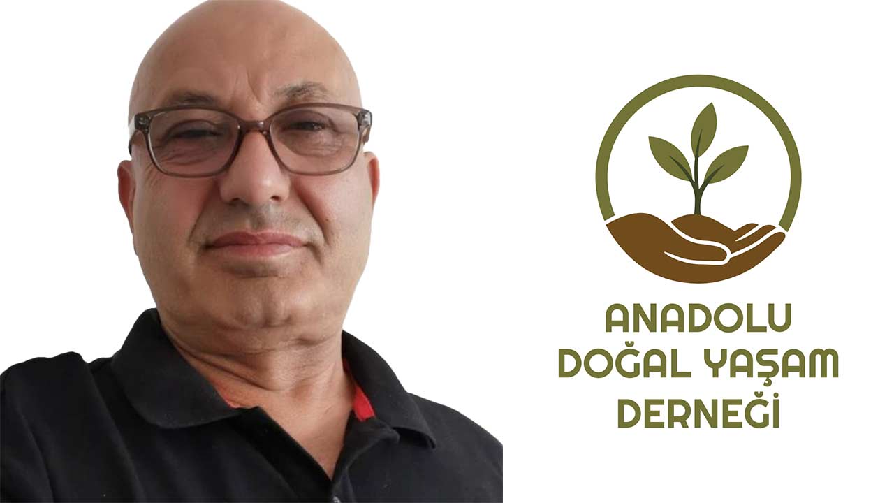 Doyder Doga Saglik 6