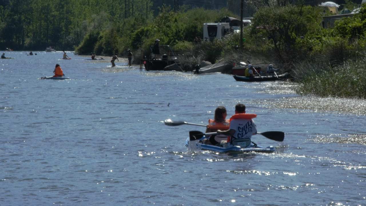 Kapikayafest 25 1