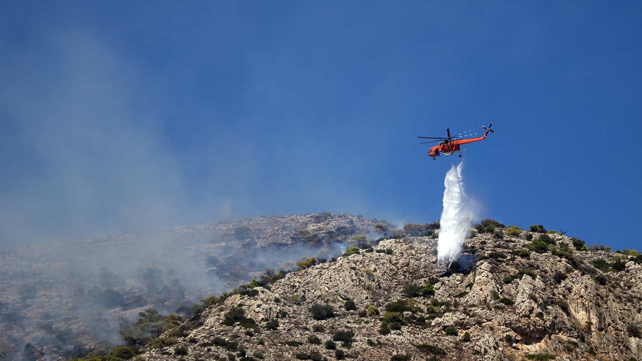 Orman Yangini Ucak 2