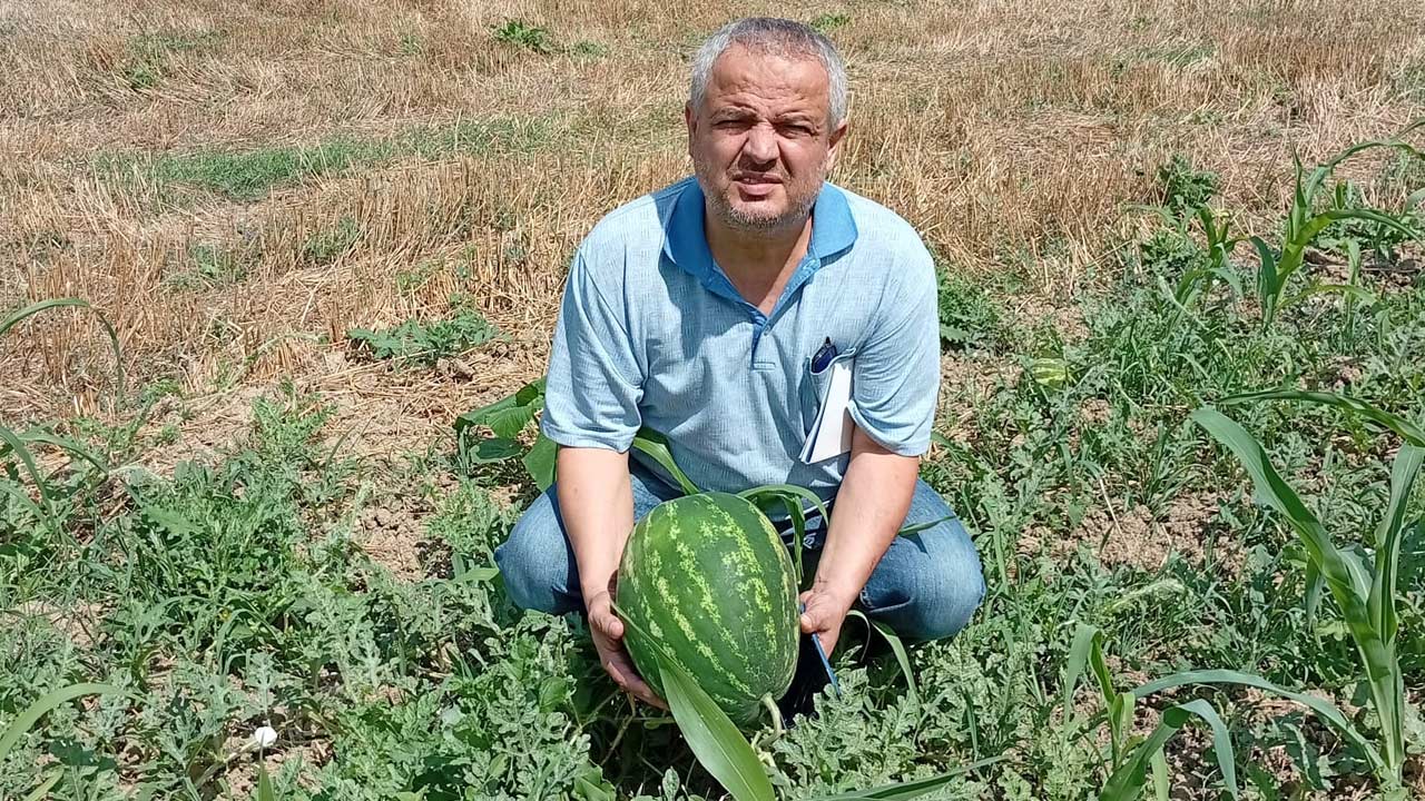 Dogal Yasam Koyu Doyak 4