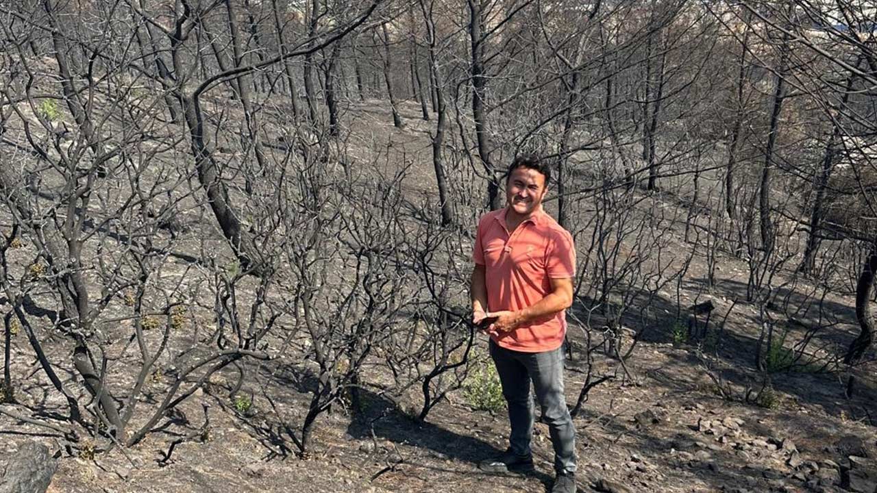 Orman Yangini Toprak Alti 2