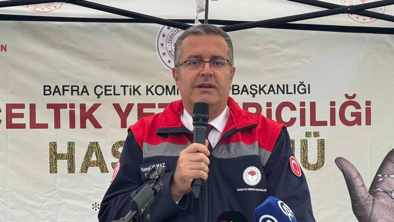 Bafra Celtik Hasadi 3