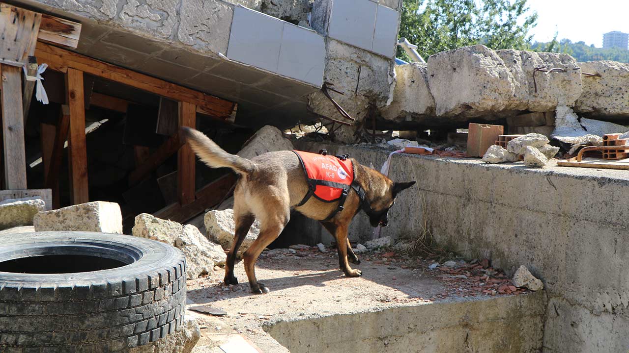 Deprem Tatbikati Samsun 5