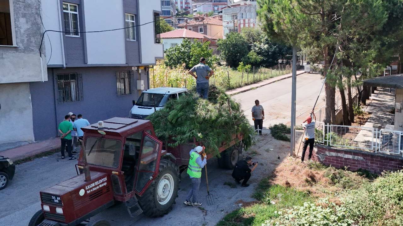 Ilkadim Parklara Estetik 1