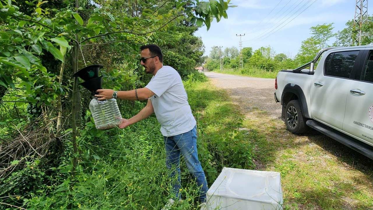 Samuray Arisi Samsun 4