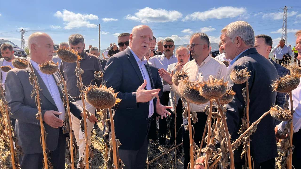 Semsi Bayraktar Havza Aycicegi 2