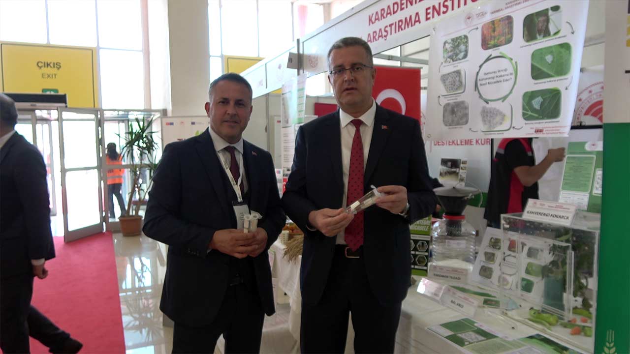 Samuray Arisi Panik Yapmayin 4