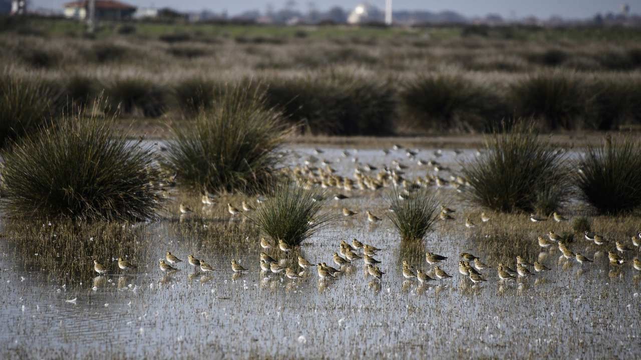 Kizilirmak Sonbahar 2