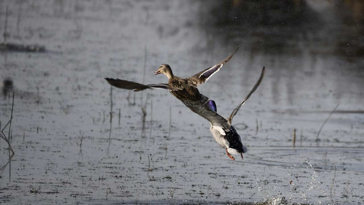 Kizilirmak Sonbahar 3