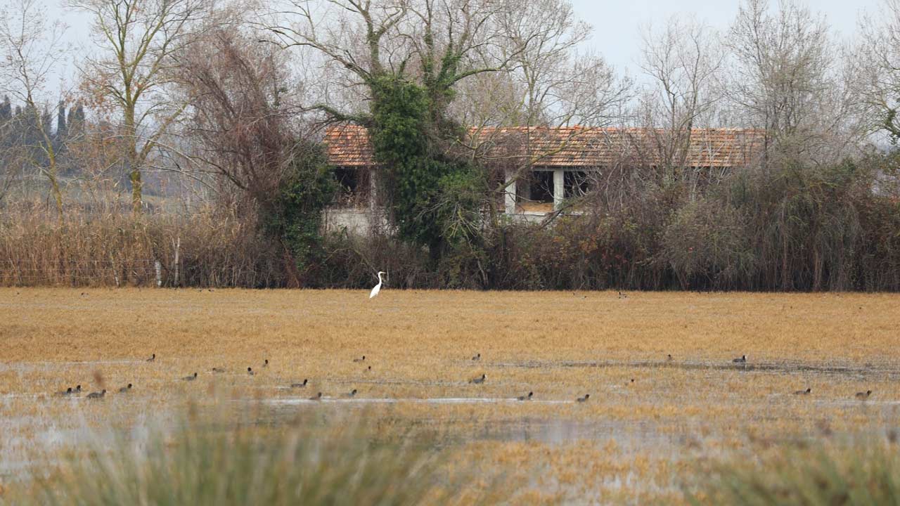 Kizilirmak Sonbahar 5