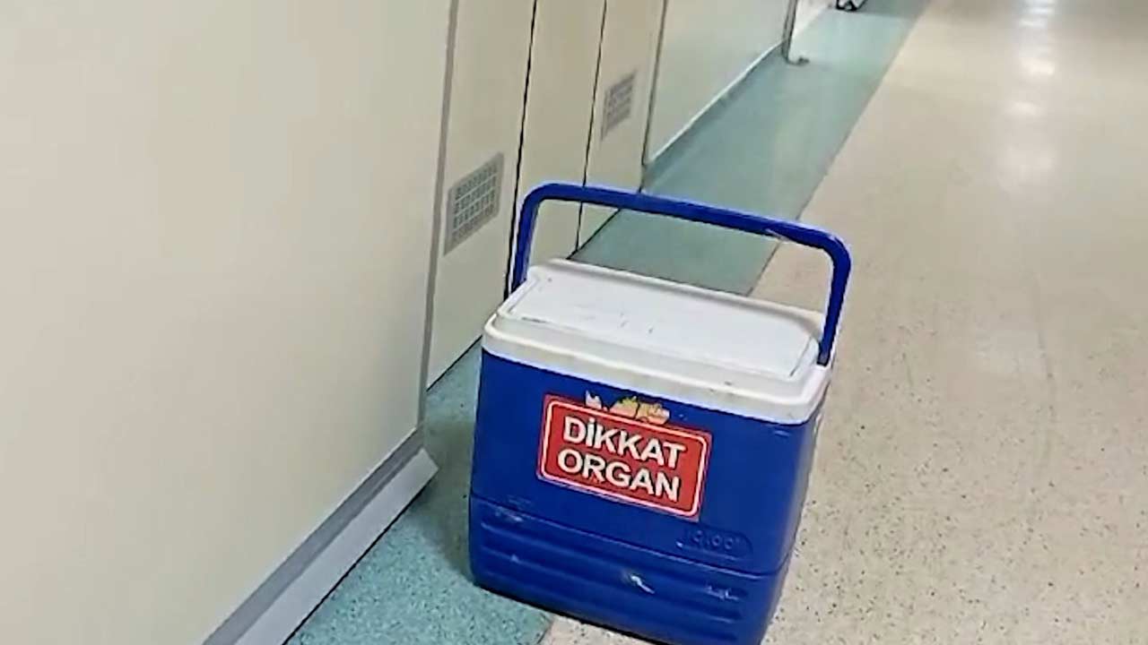 Organ Nakli Koordinatoru 2