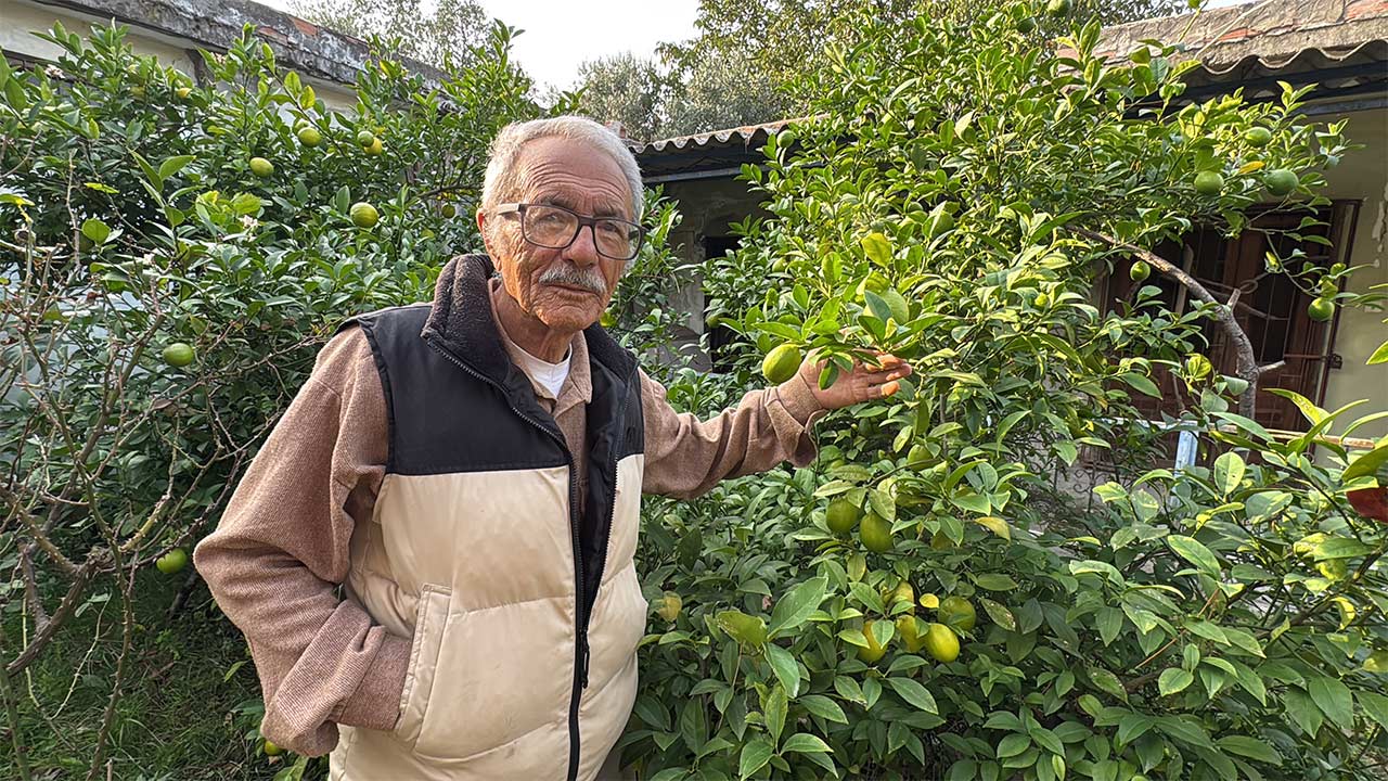 Organik Meyve Yetistiriyor 4