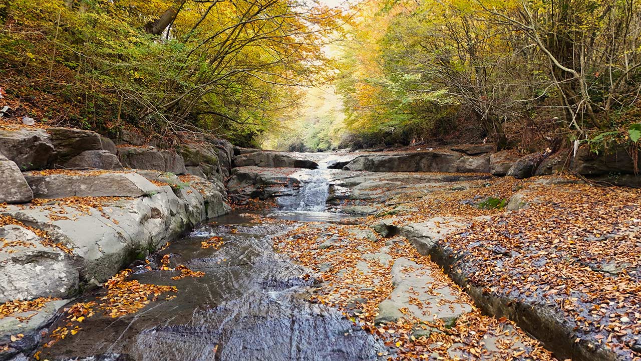 Samsun Turist Konaklama 5