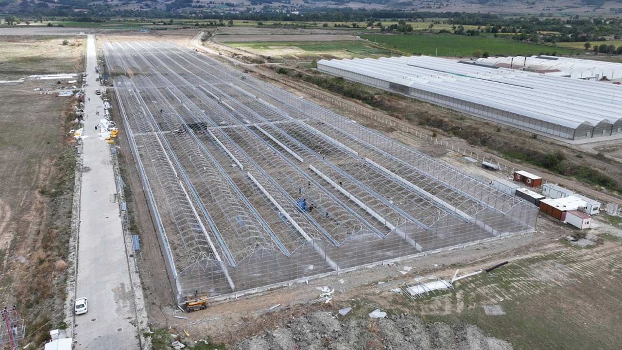 Bafra Sera Osb Vali Tavli 4