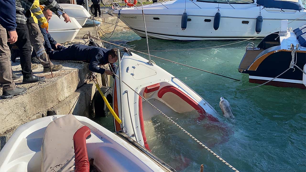 Halat Koptu Tekne Batti 4