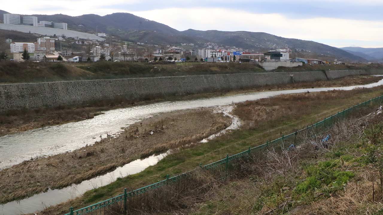 Dsi Akif Balta Samsun 5