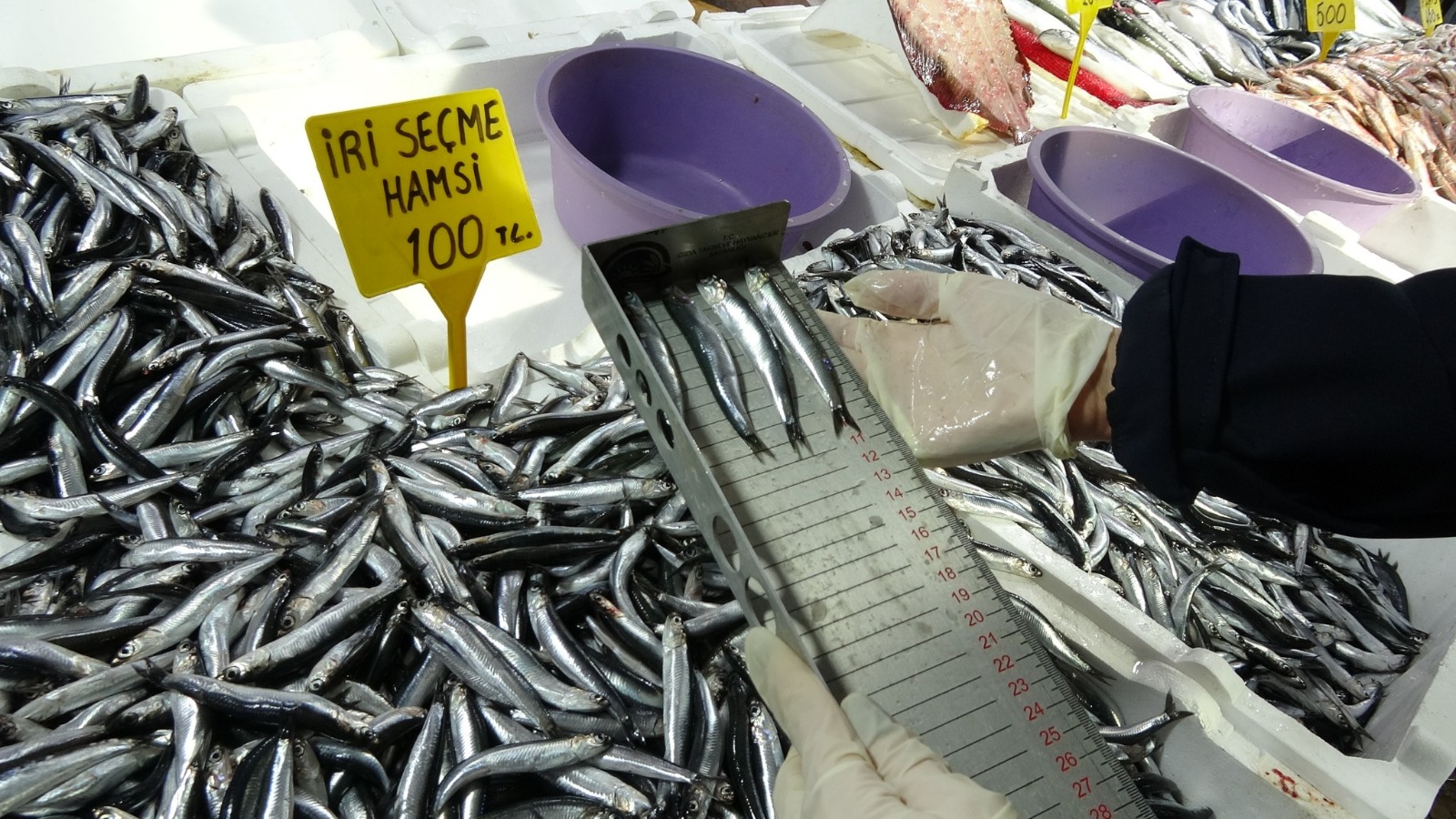 Samsun Balikci Ceza 2