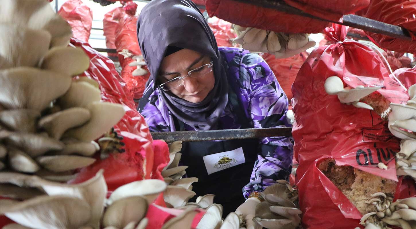 Kadin Girisimci Mantar 2