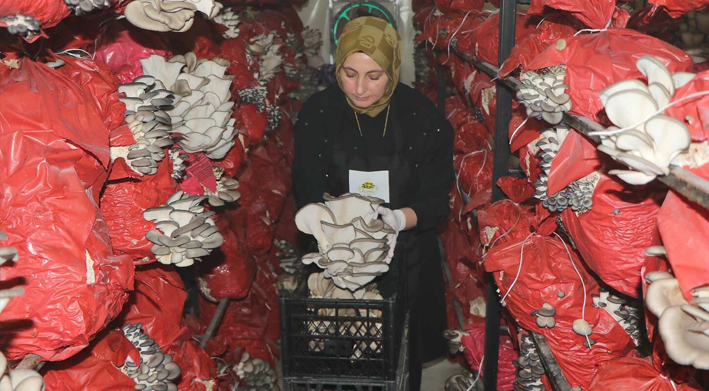 Kadin Girisimci Mantar 3