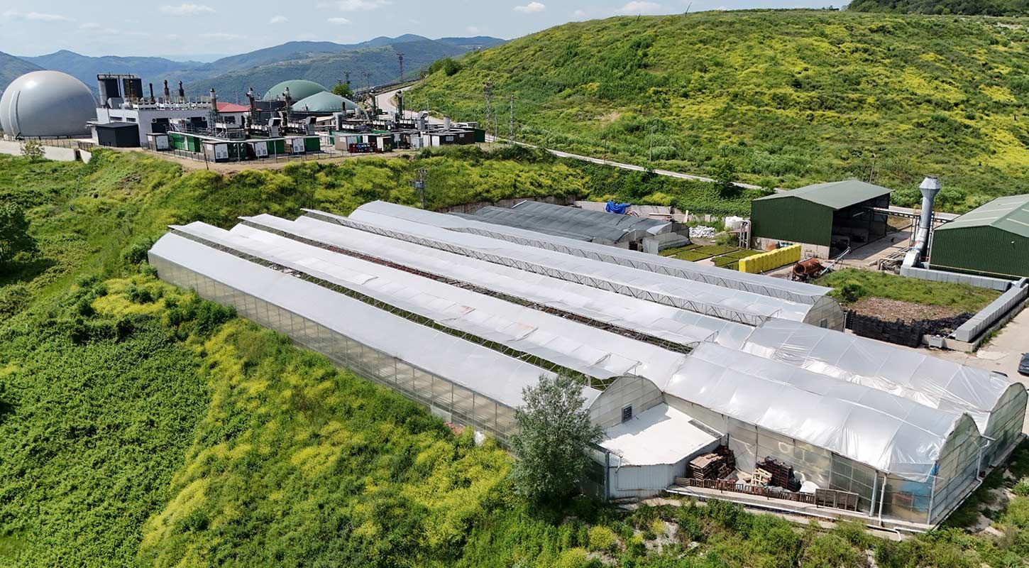 Kati Atik Cicek Samsun 5