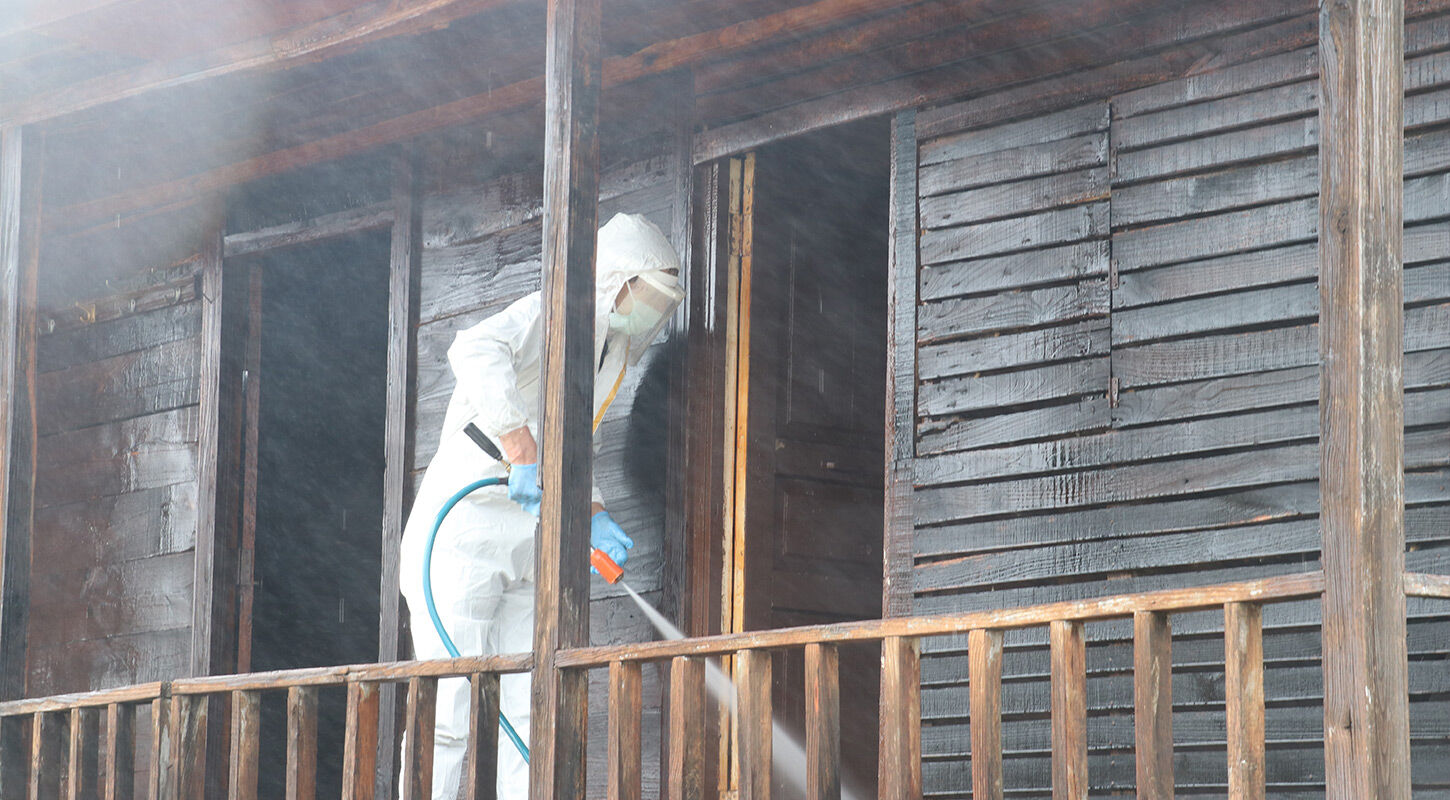 Kokarca Ilaclama Samsun 2