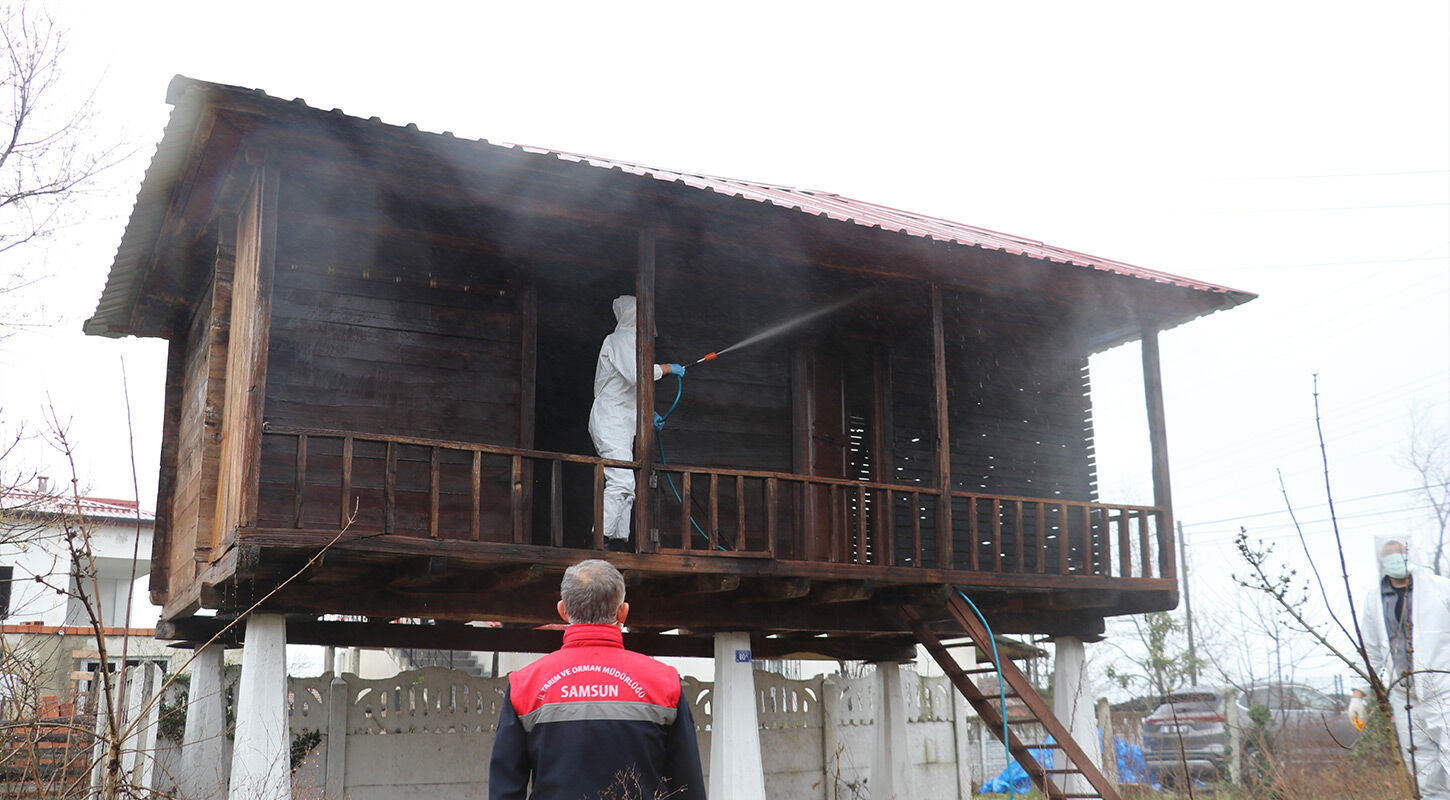 Kokarca Ilaclama Samsun 3