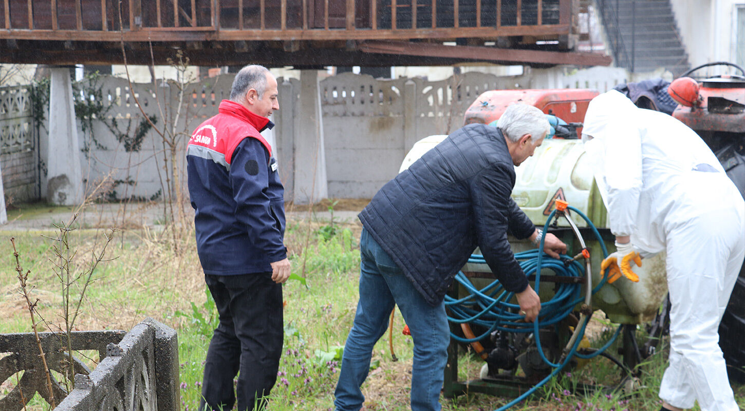 Kokarca Ilaclama Samsun 4