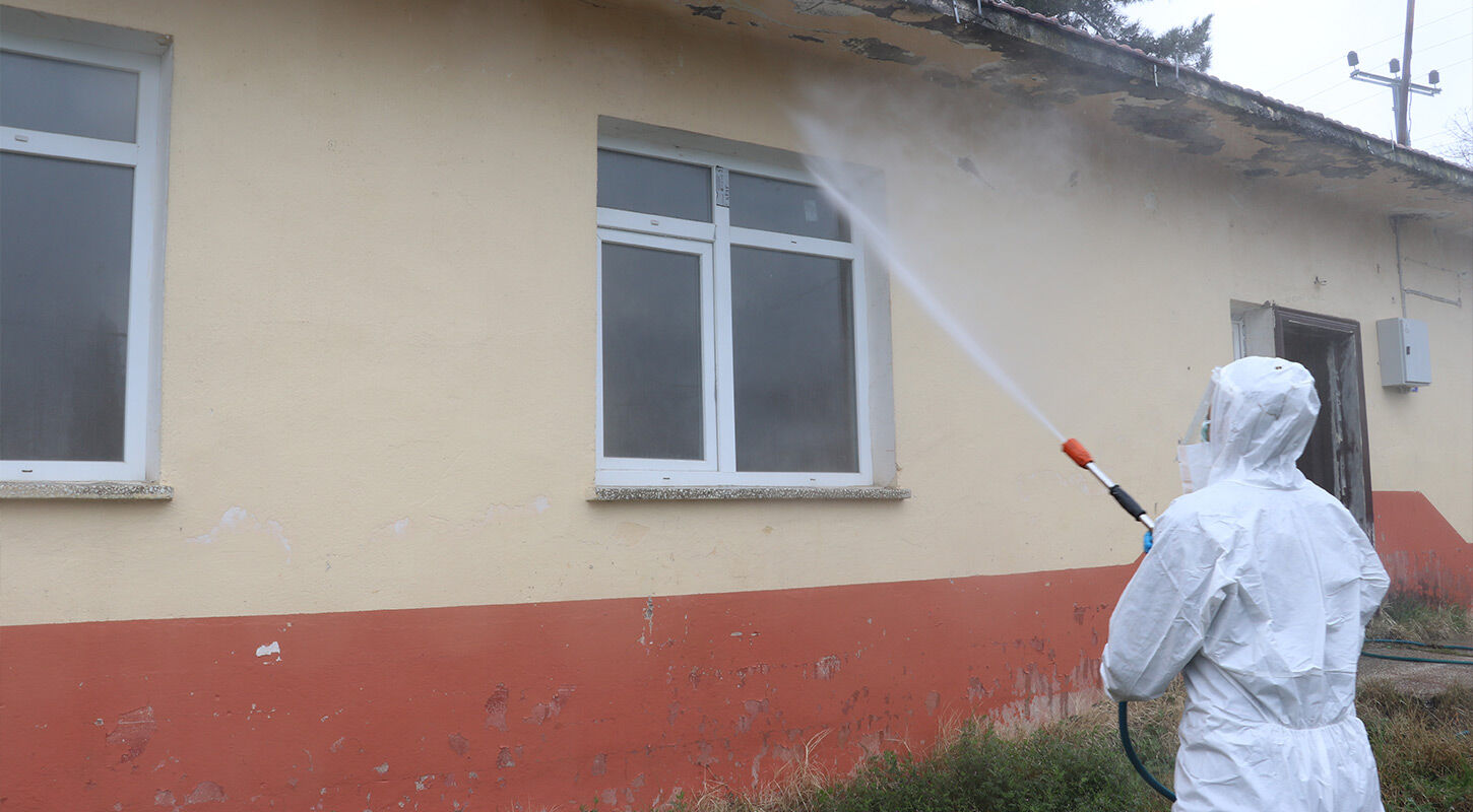 Kokarca Ilaclama Samsun 5