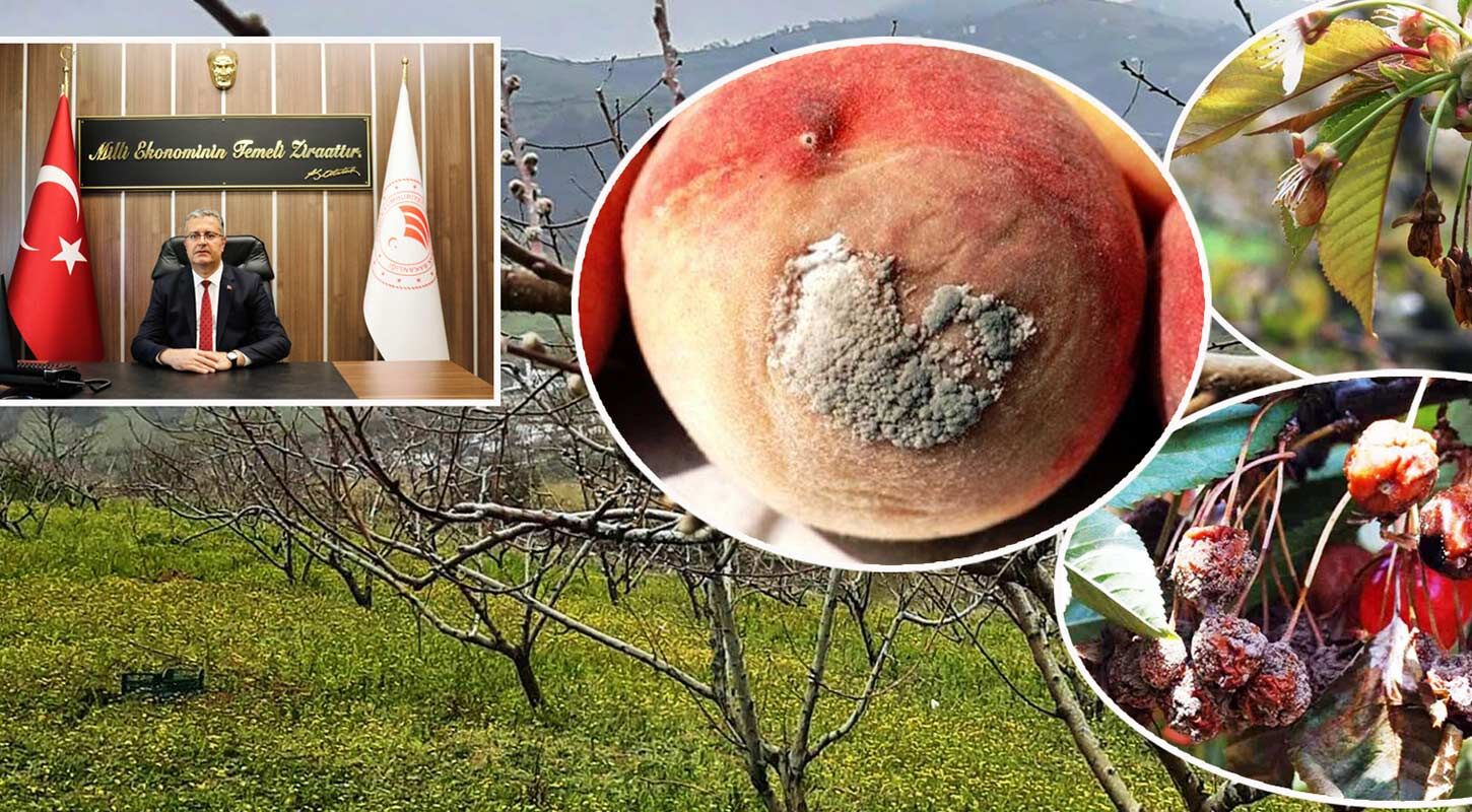 Tarim Ilaclama Zamani 3