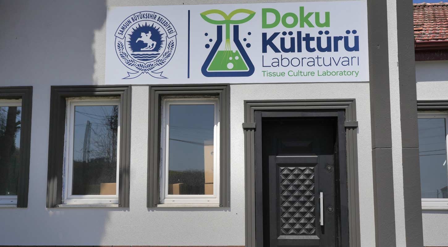 Samsun Bitki Doku Kulturu Laboratuvari 2