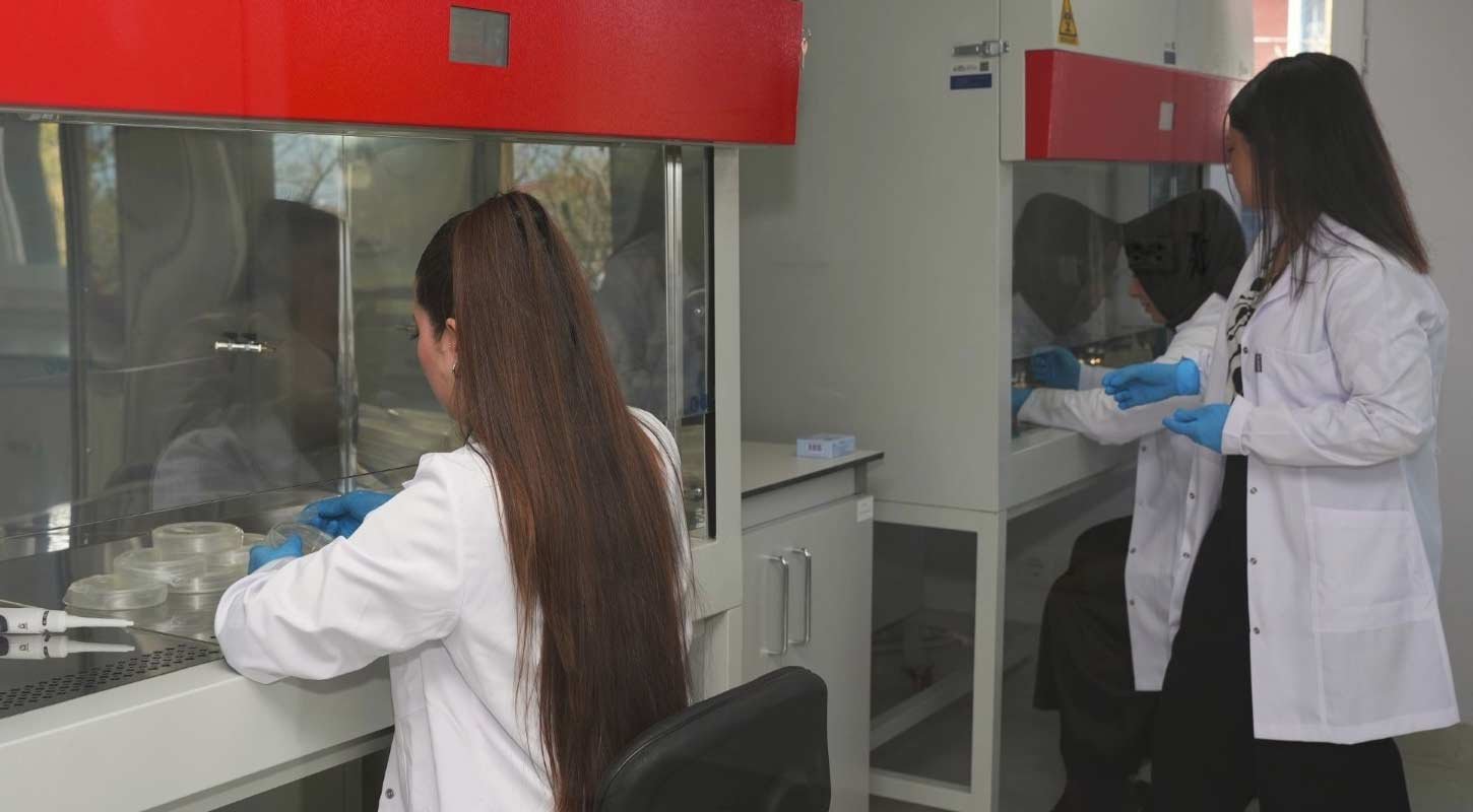 Samsun Bitki Doku Kulturu Laboratuvari 3