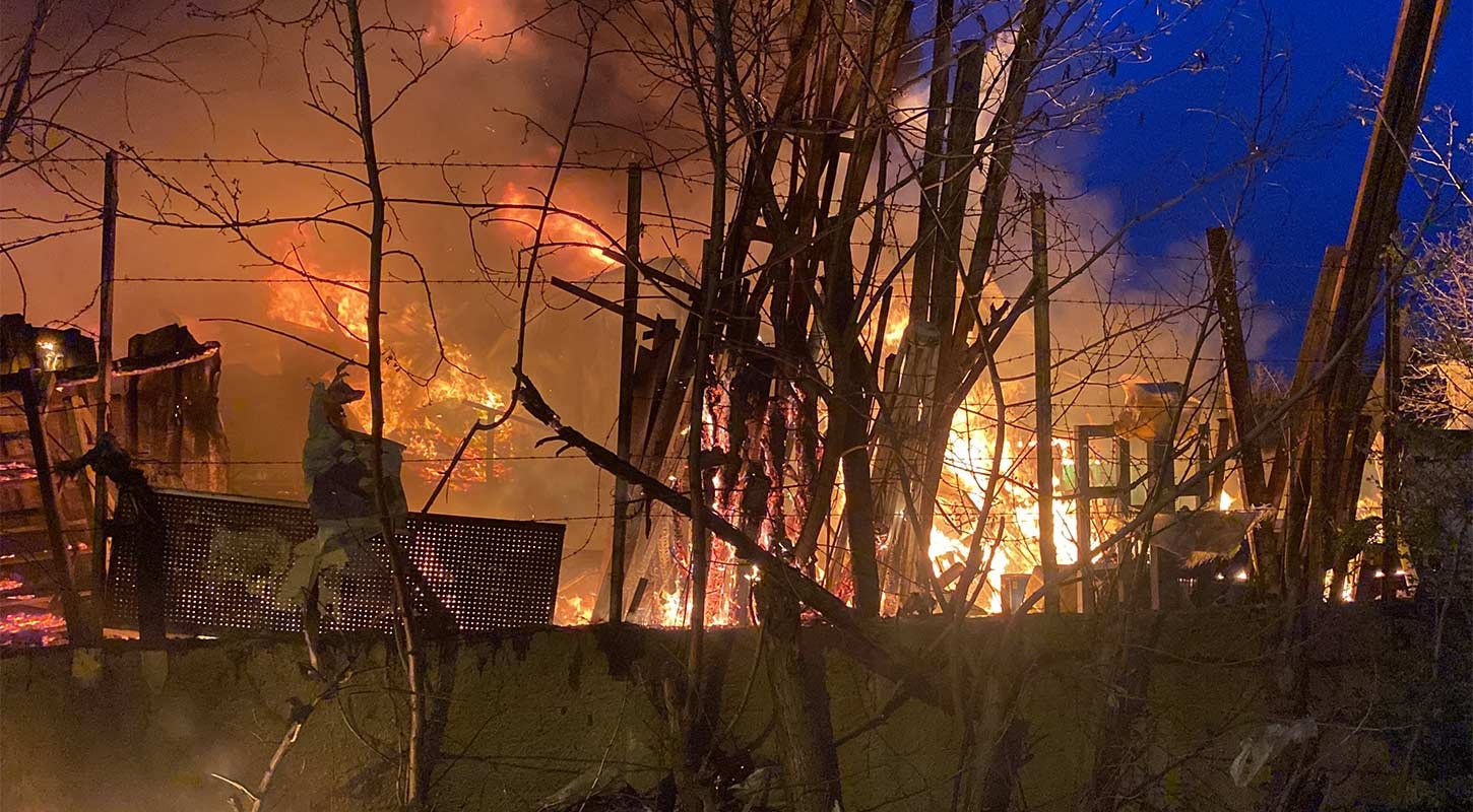 Yangin Samsun Meyve 1