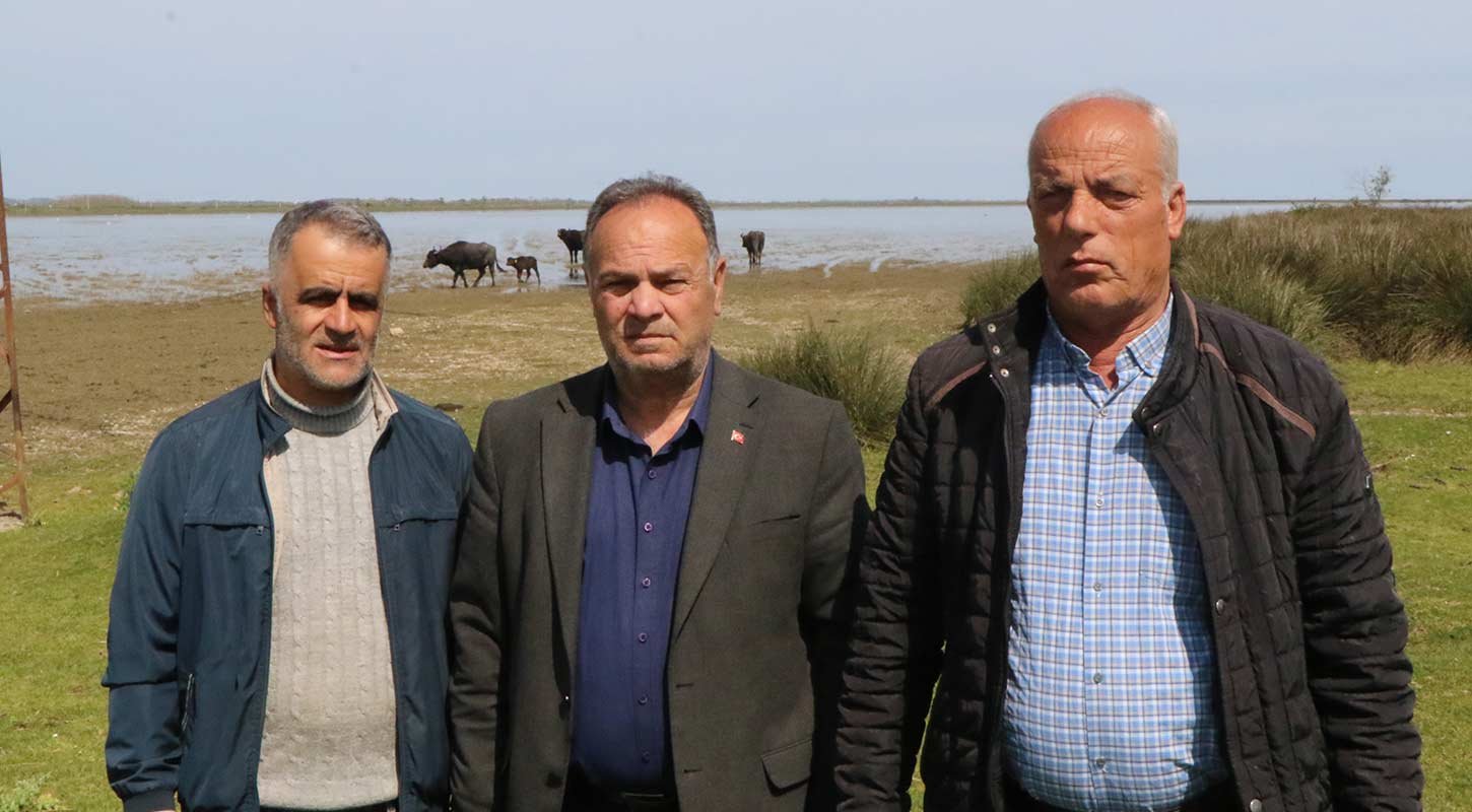 Samsun Manda Yaban Hayvani Saldirilari 6