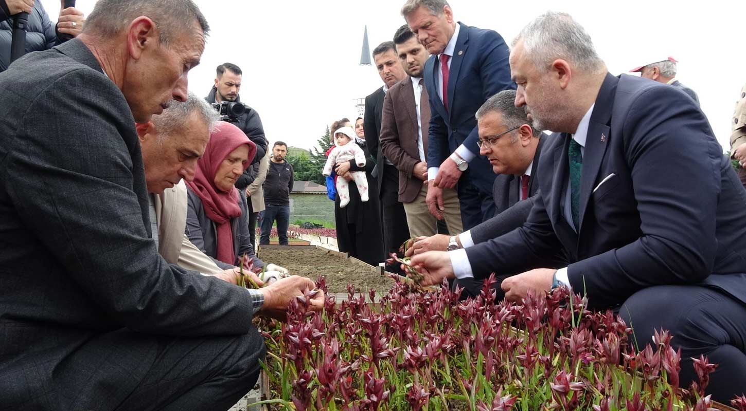 Samsunda Salep Uretimi Artiyor 3