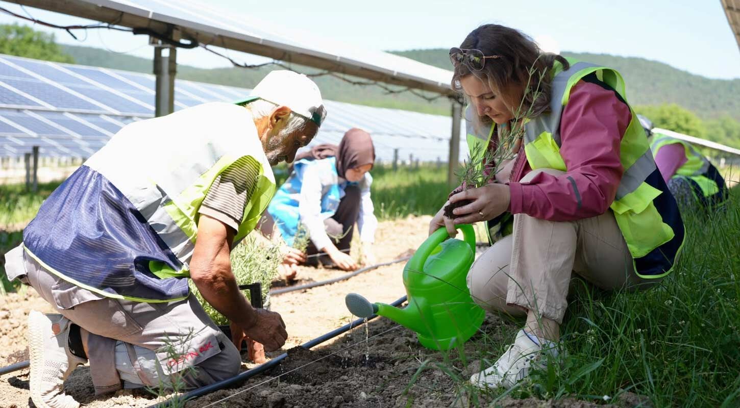 Ladikte Tarim Ve Enerji Ayni Arazide Bulustu 4