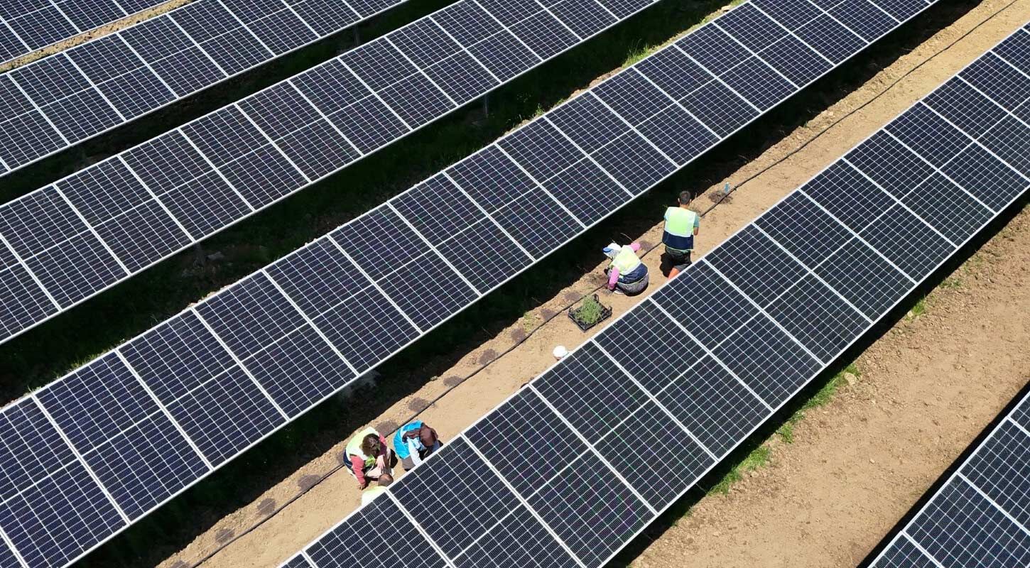 Ladikte Tarim Ve Enerji Ayni Arazide Bulustu 5