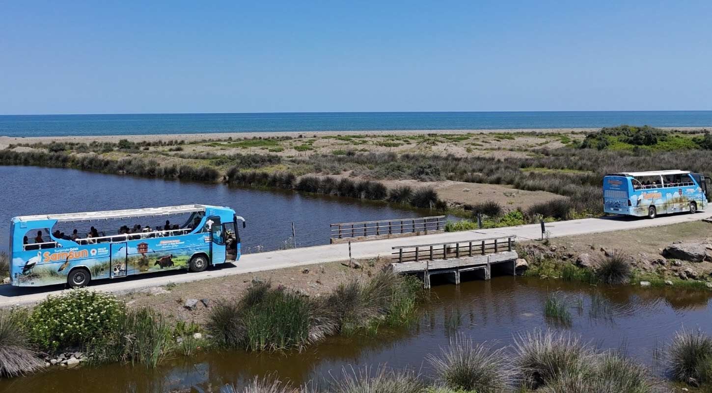 Odak Samsun Otobusleri Hafta Sonu Seferlere Basliyor 3