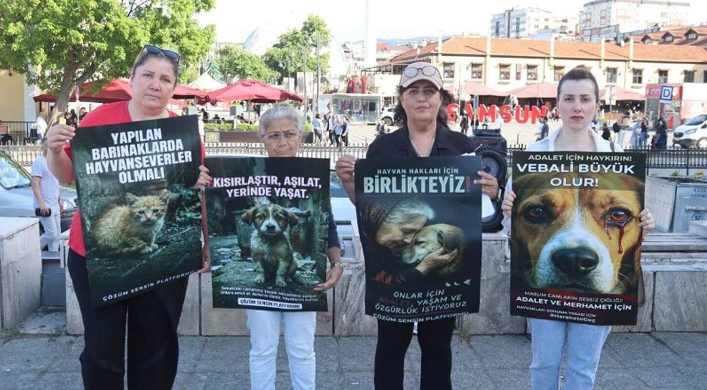 Samsunda Sokak Hayvanlari Icin Ortak Ses 2