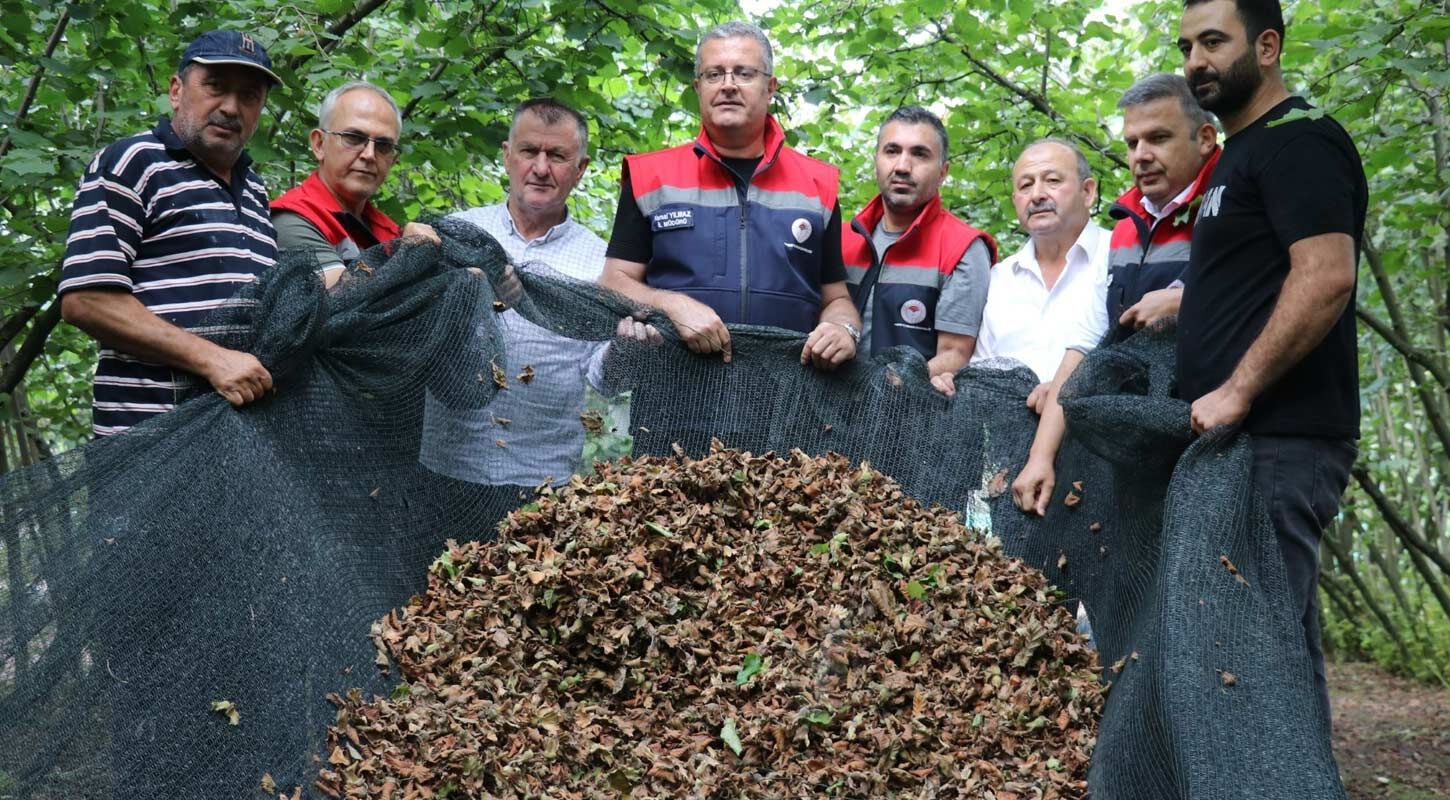 Findik Hasadinda File Iscilik Maliyetini Yuzde 70 Azaltiyor 3