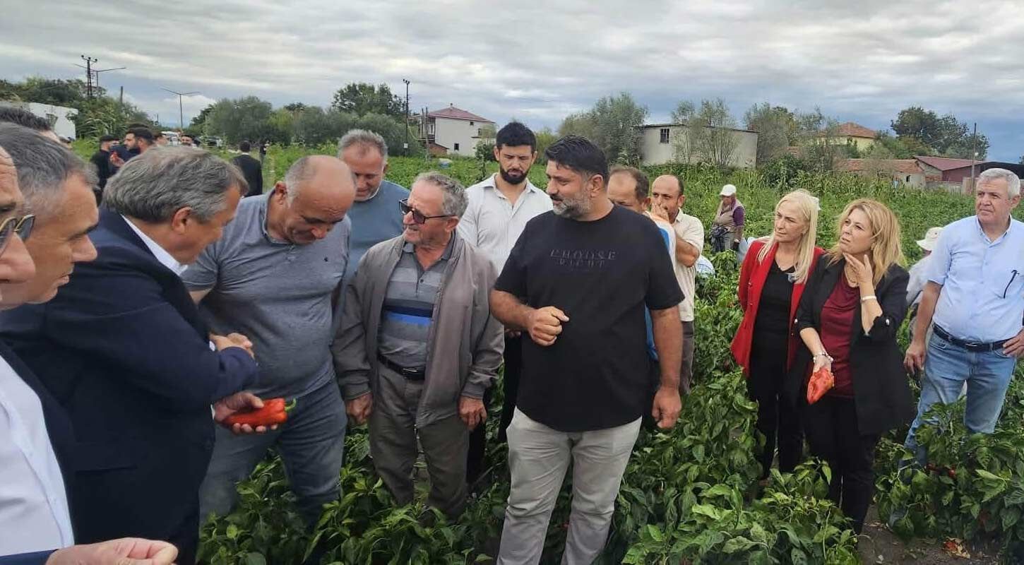 Yeni Partiden Bafrada Celtik Icin 55 Tl Cagrisi 4